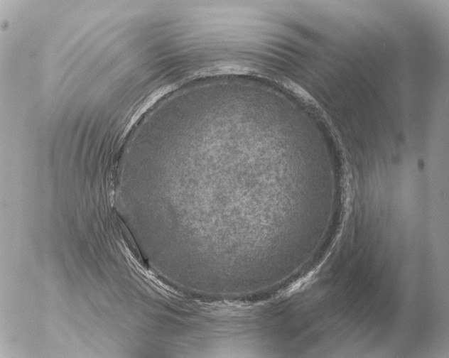 X0000056330929200509092324