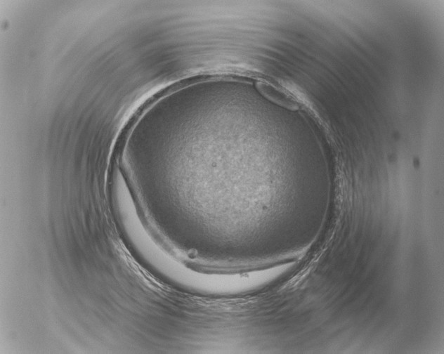 X0000056330932200509092324