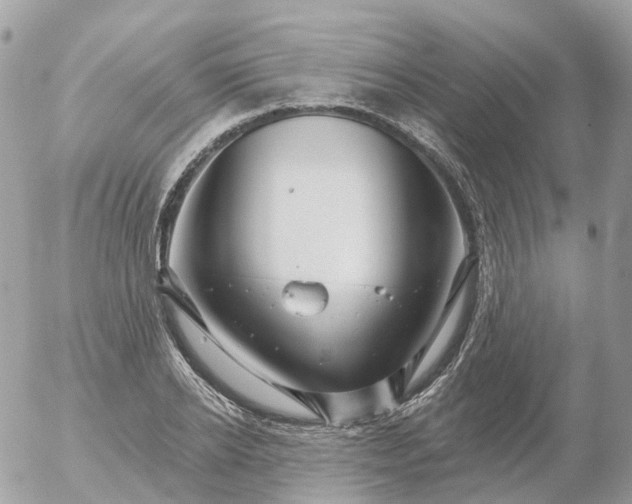 X0000056330934200509092325