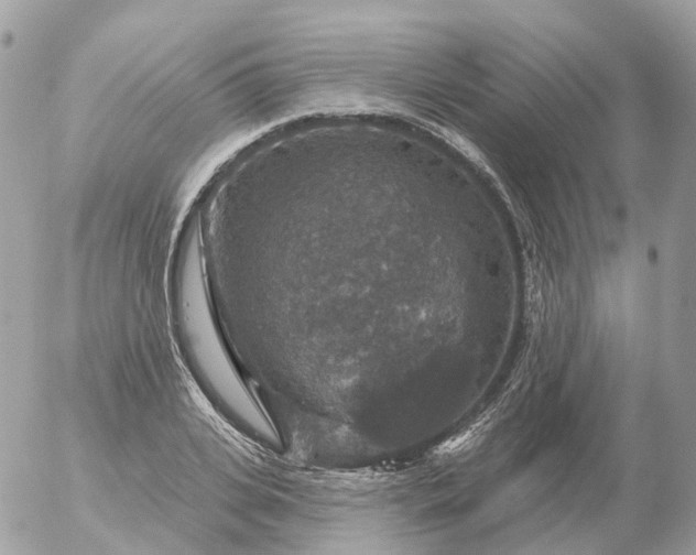 X0000056330935200509092325