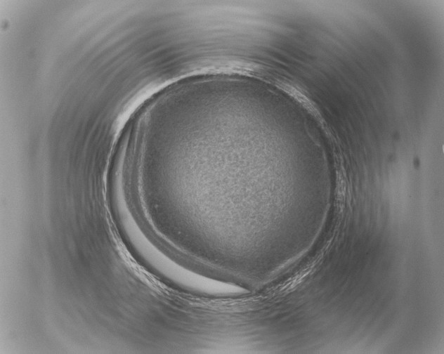 X0000056330936200509092325