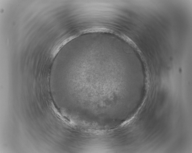 X0000056330937200509092325