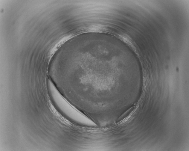 X0000056330938200509092325