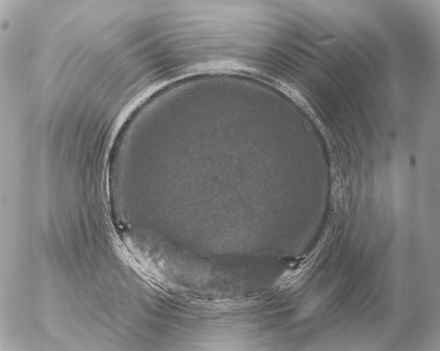 X0000056330939200509092325