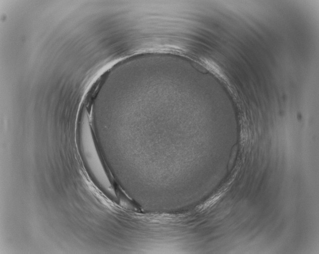 X0000056330940200509092325