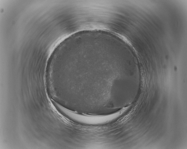 X0000056330943200509092325