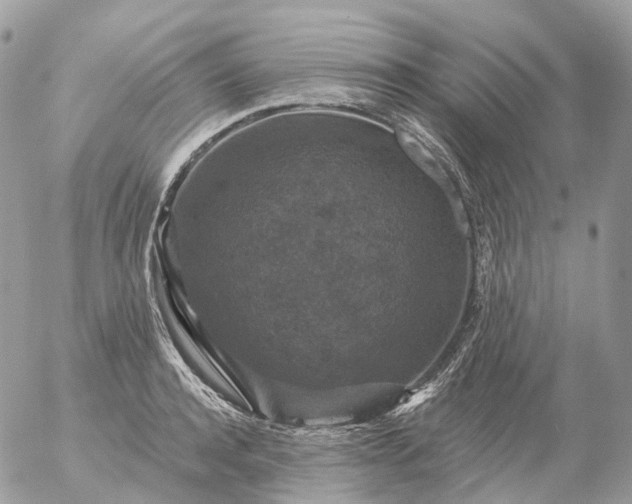 X0000056330944200509092325