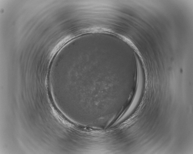 X0000056330946200509092325