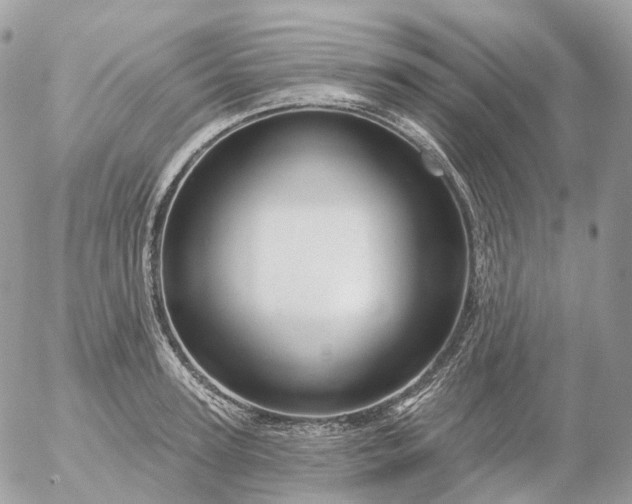 X0000056330947200509092325