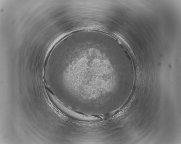 X0000056330948200509092325