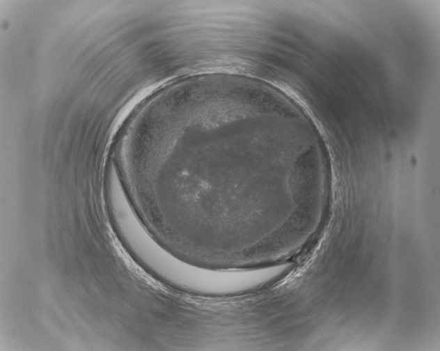 X0000056330949200509092325