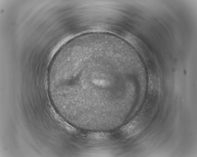 X0000056330950200509092325