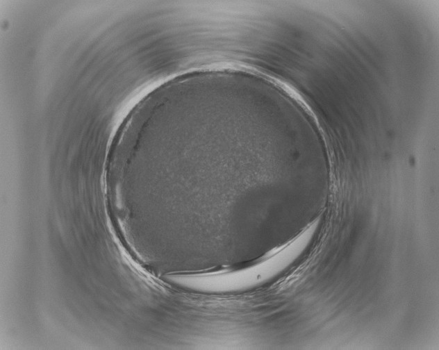 X0000056330951200509092325