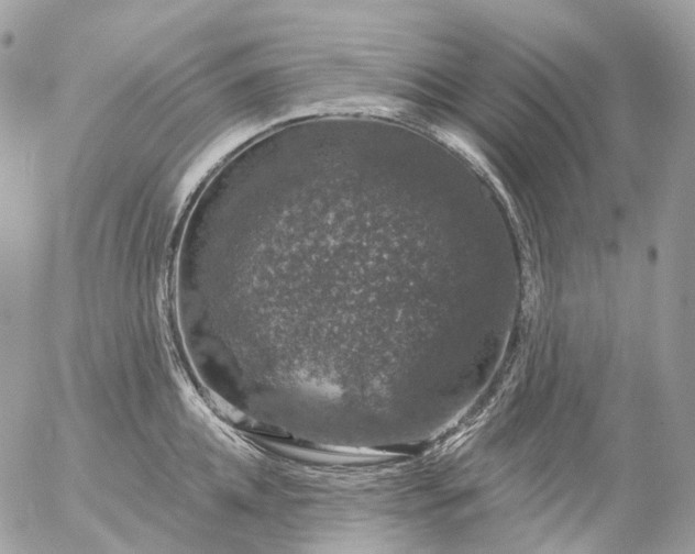 X0000056330952200509092325