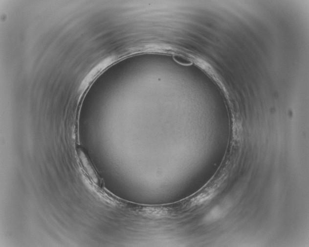 X0000056330954200509092325