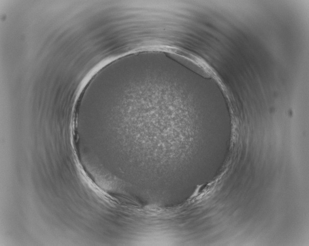 X0000056330955200509092325