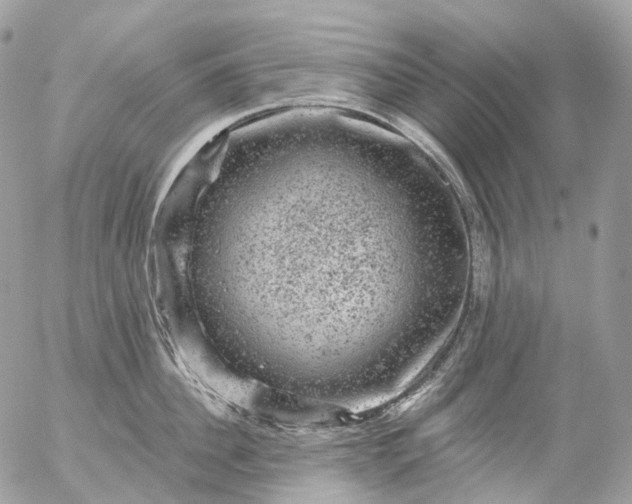 X0000056330956200509092325