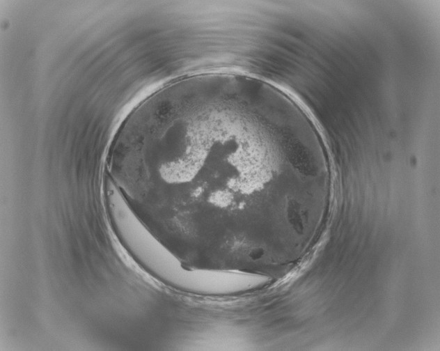 X0000056330957200509092325