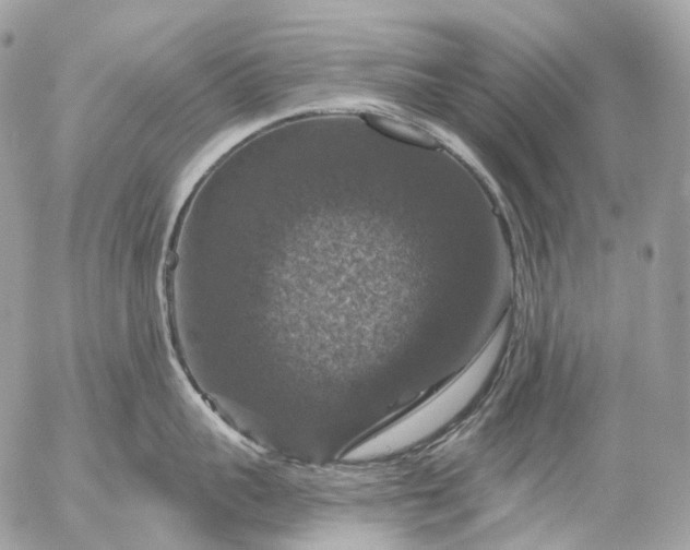 X0000056330959200509092325