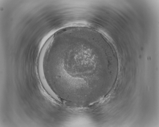 X0000056330960200509092325