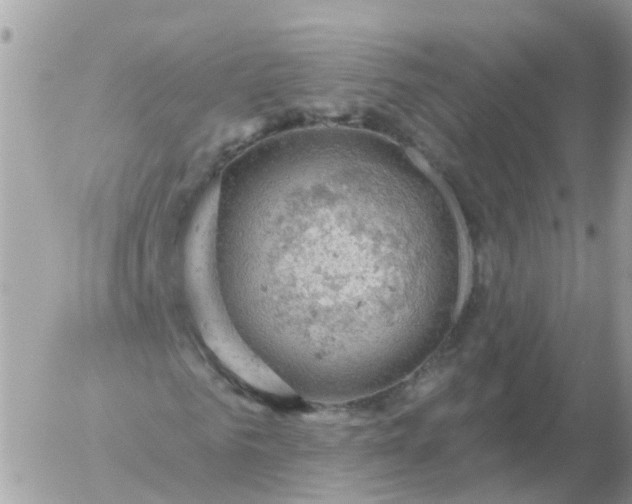 X0000056330961200509092324