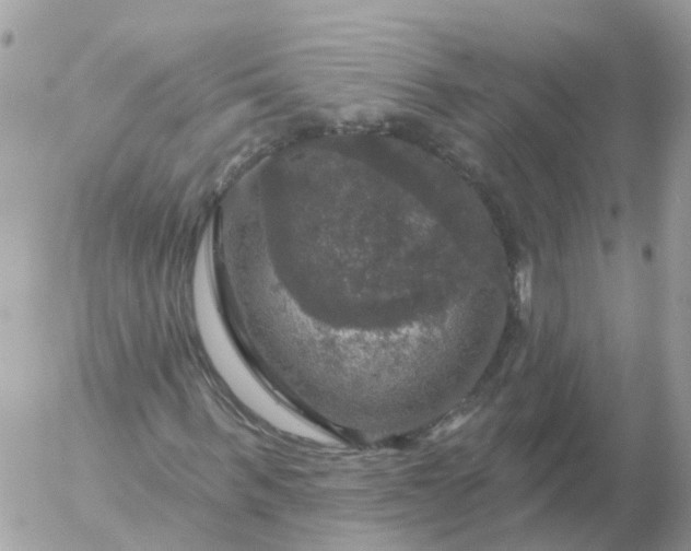 X0000056330963200509092324