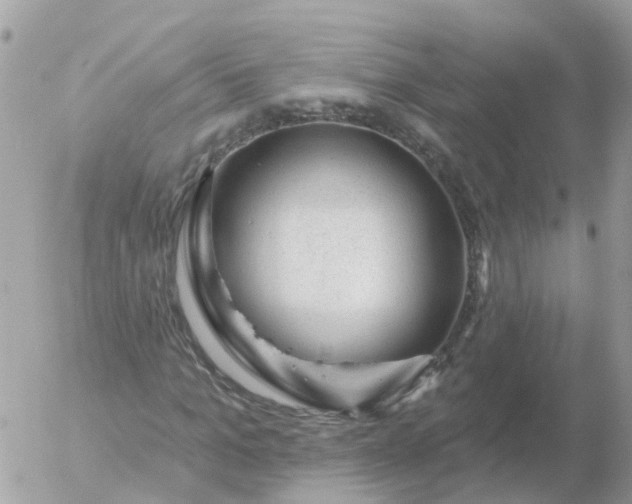 X0000056330965200509092324