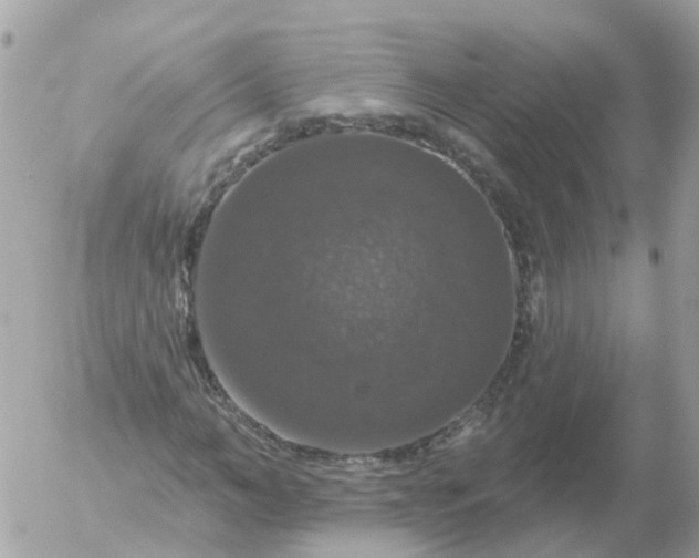 X0000056330966200509092324