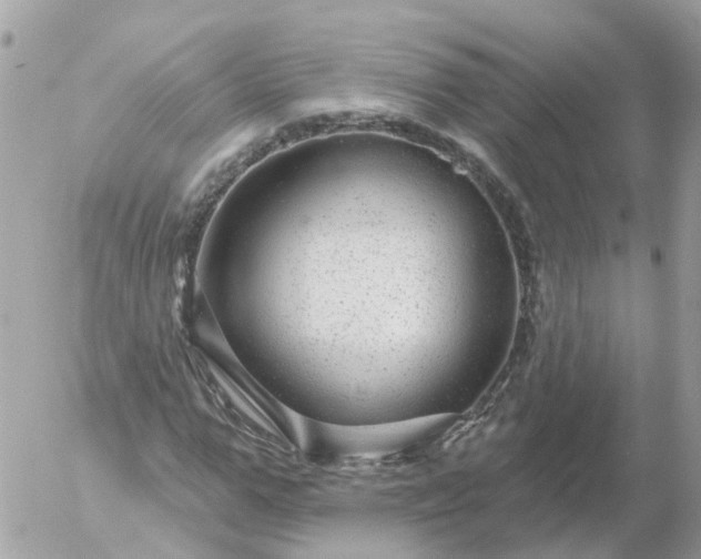 X0000056330967200509092324