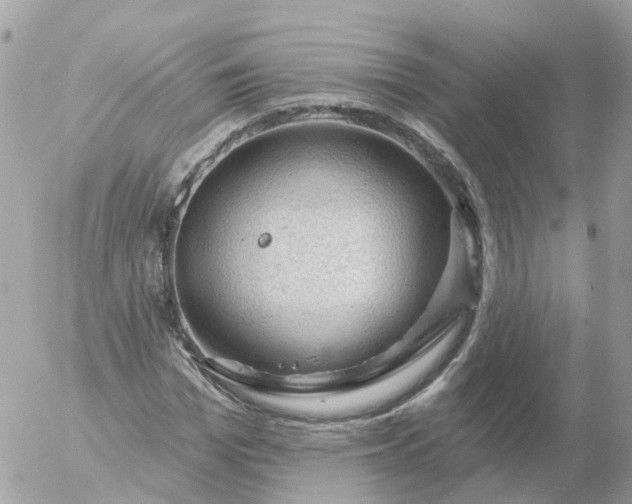 X0000056330969200509092324