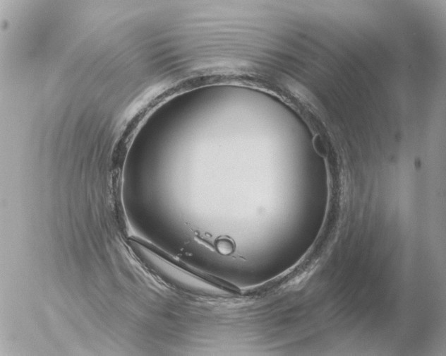 X0000056330970200509092324