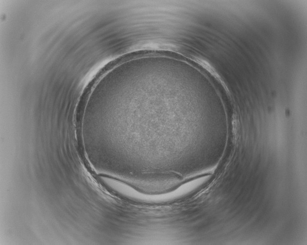 X0000056330972200509092324