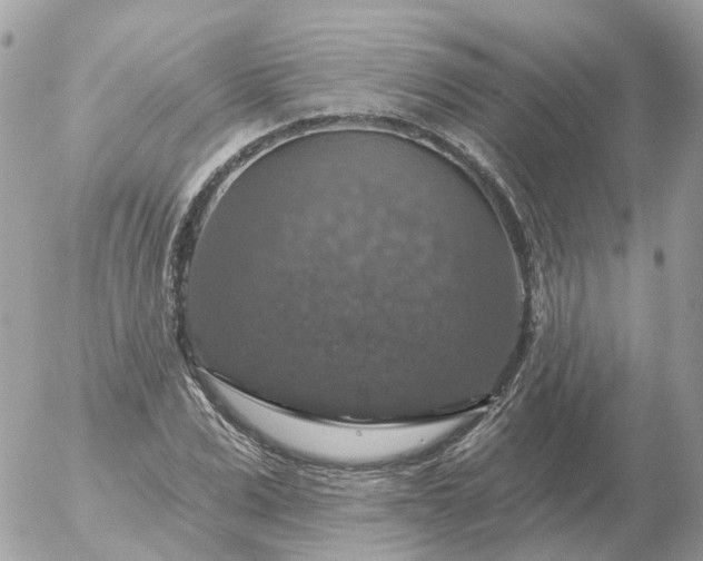 X0000056330975200509092324