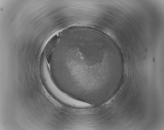 X0000056330976200509092324