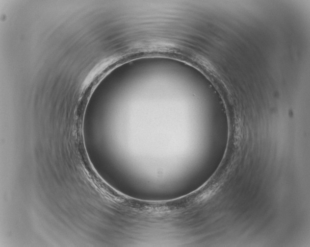 X0000056330978200509092324