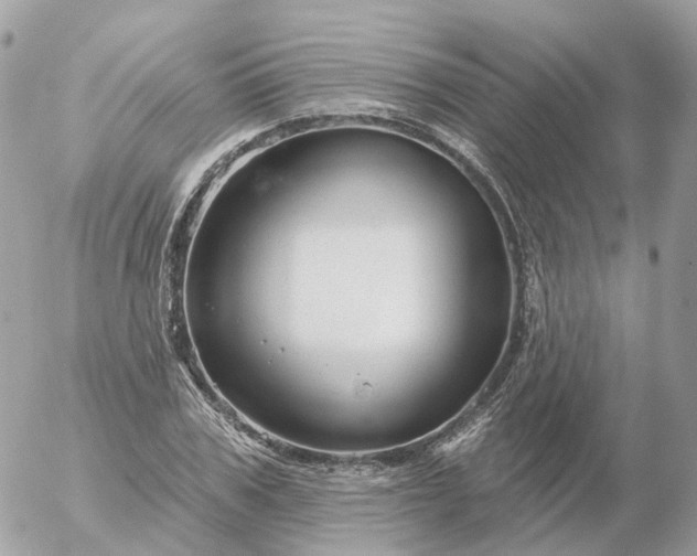 X0000056330979200509092324