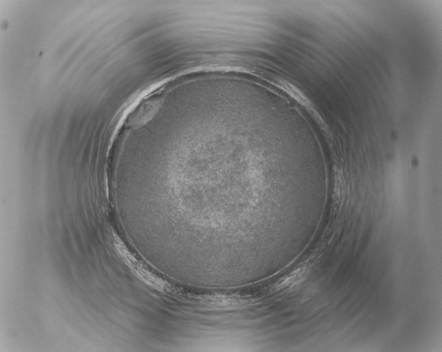 X0000056330980200509092324