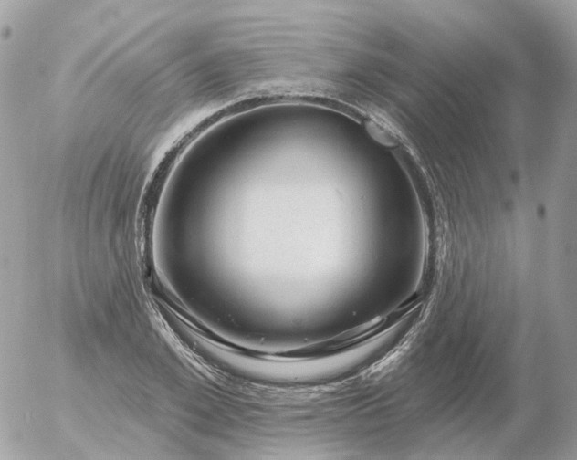 X0000056330981200509092324