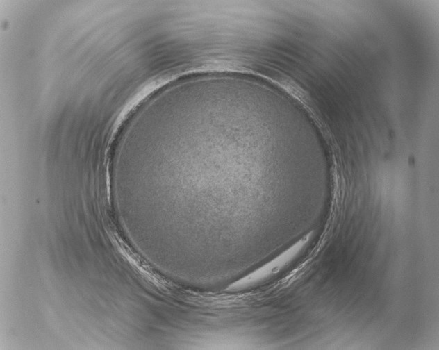 X0000056330982200509092324