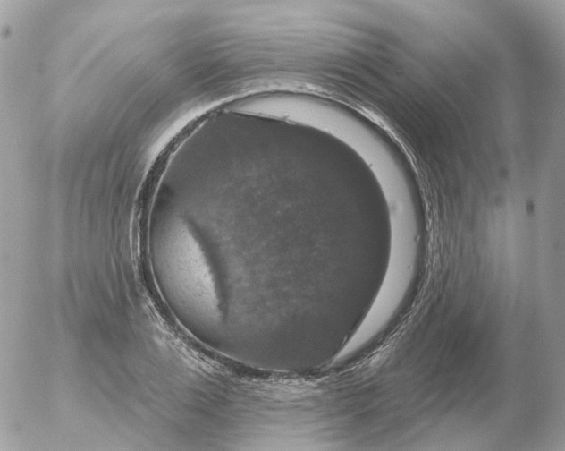 X0000056330983200509092324