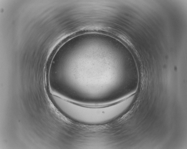 X0000056330984200509092324