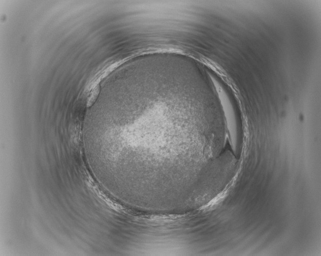 X0000056330985200509092324