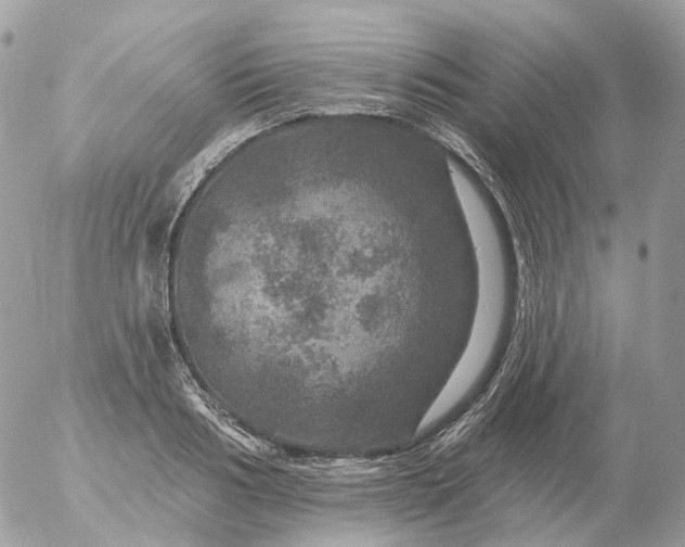 X0000056330986200509092324