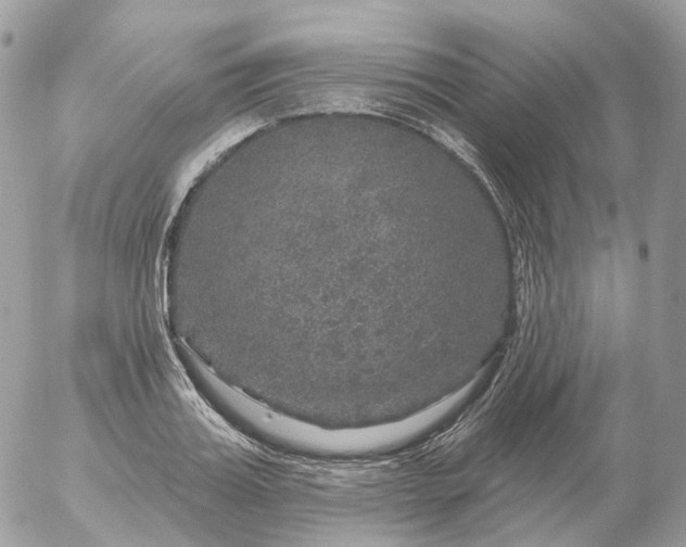 X0000056330987200509092324