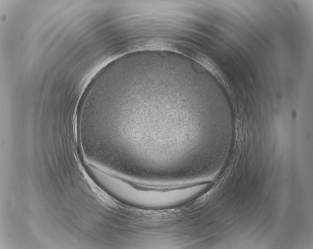 X0000056330988200509092324