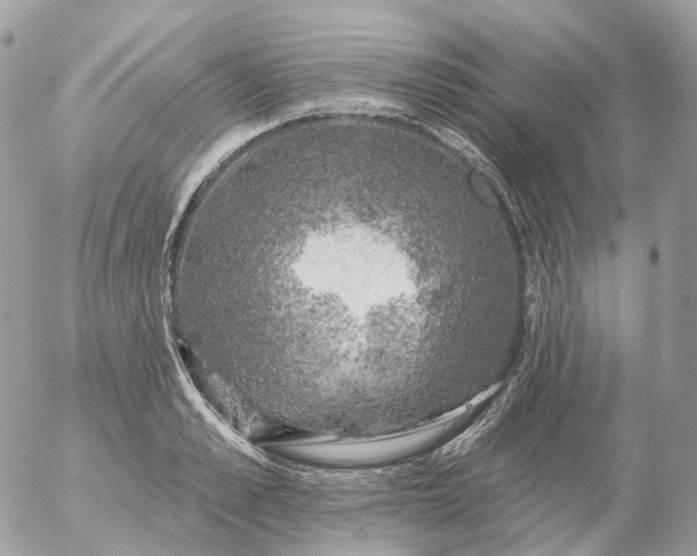 X0000056330989200509092324