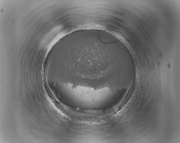 X0000056330990200509092324