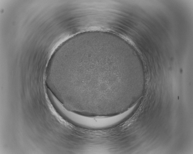 X0000056330991200509092324