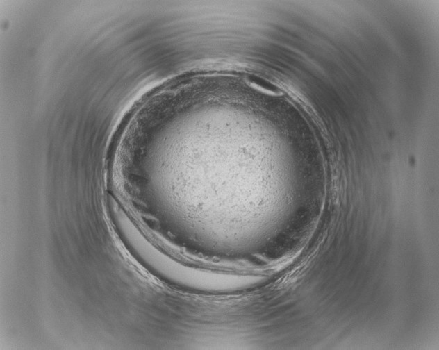 X0000056330992200509092324