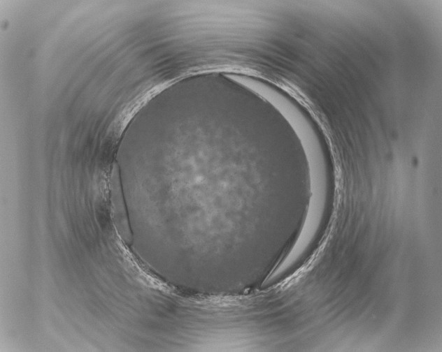 X0000056330993200509092324